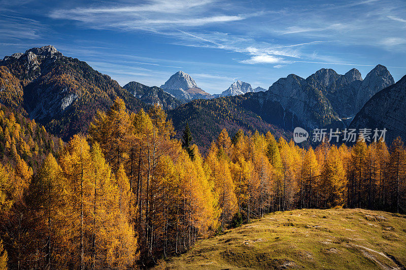 芒加特山的Sella Somdogna，秋天落叶松，朱利安阿尔卑斯山，意大利，欧洲